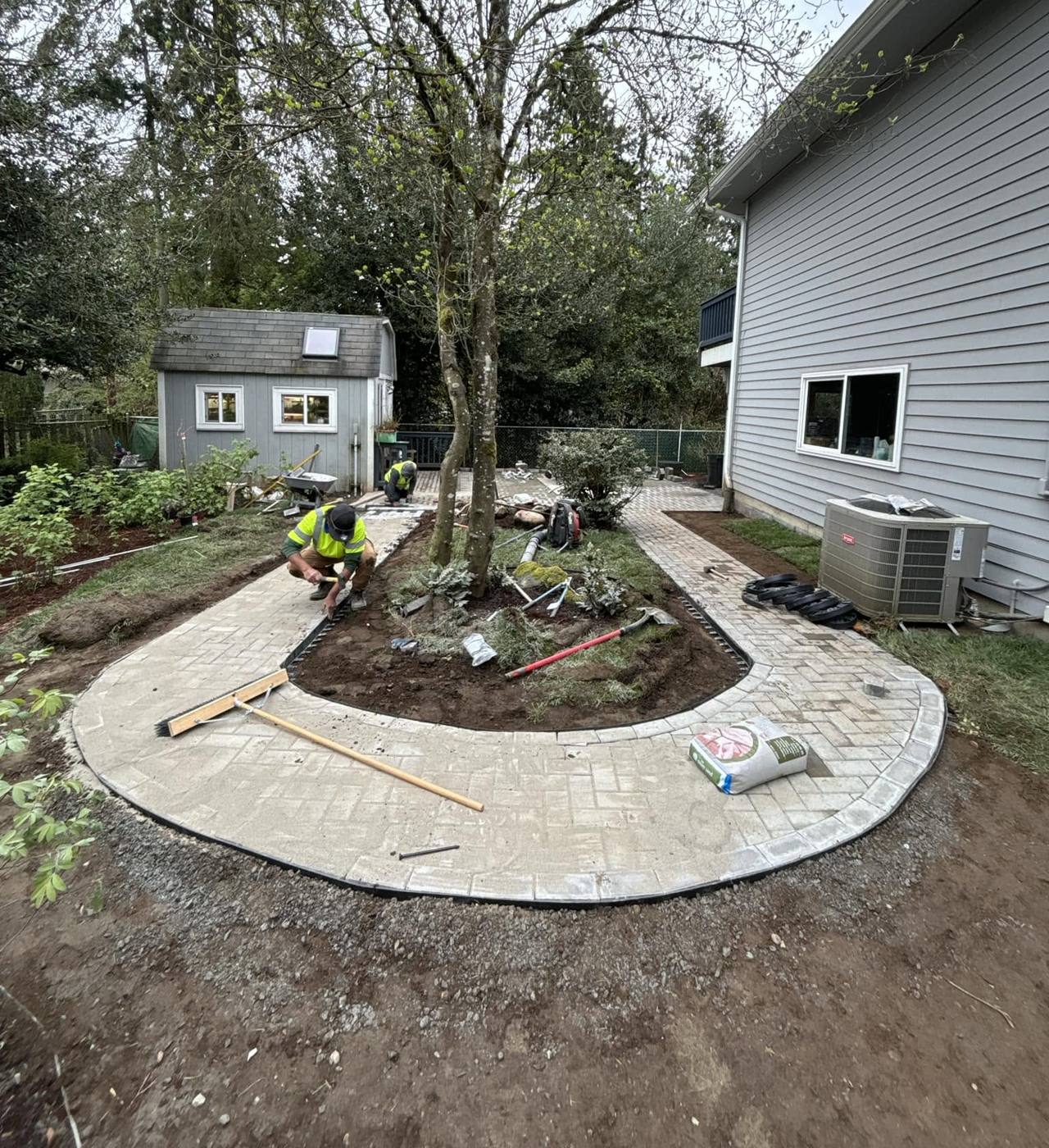 Crew laying pavers for a curved path around a tree beside a garden shed