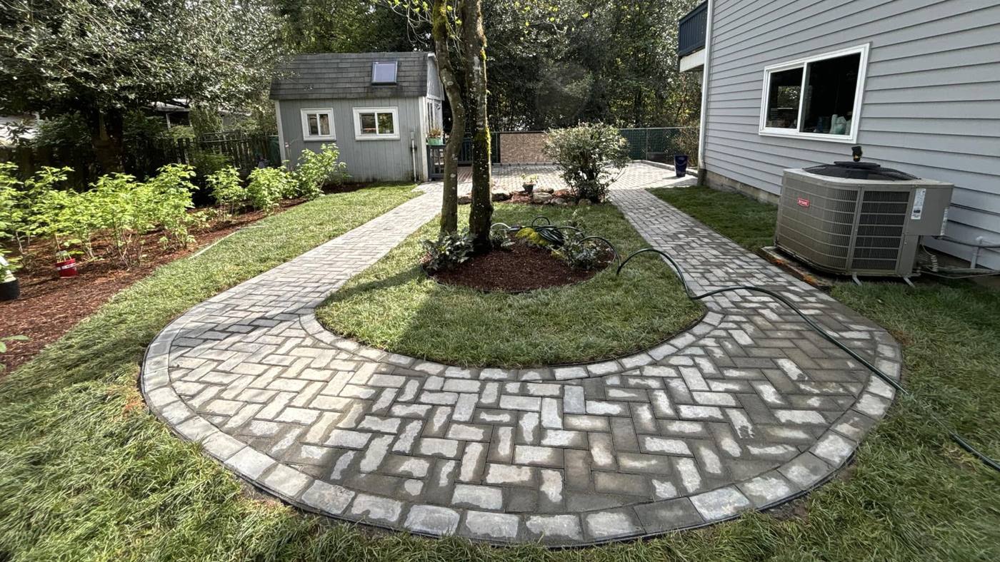 The same yard finished: a herringbone paver path circling a planted bed around the tree, new lawn on both sides